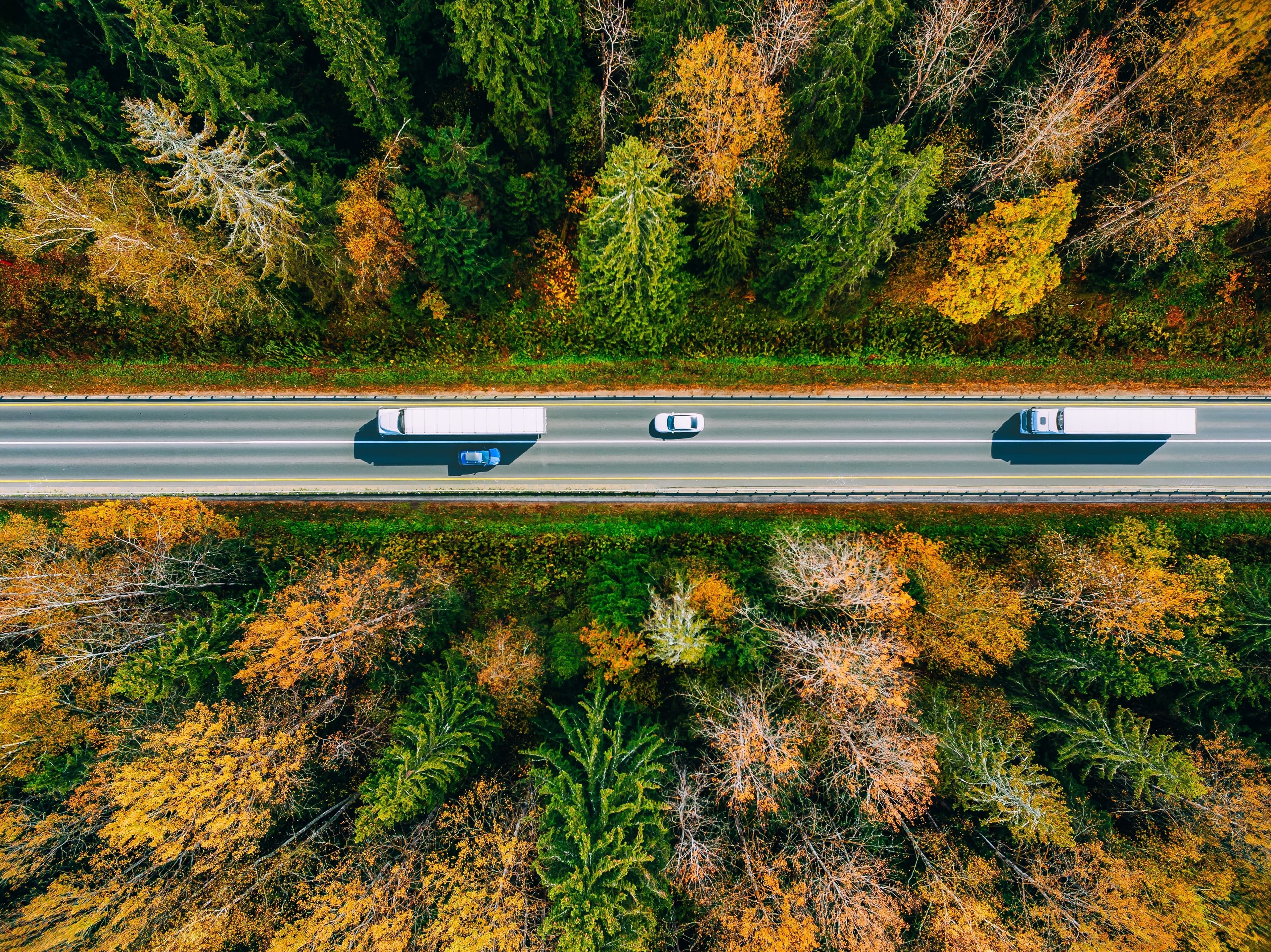 The Importance of Transport Management Software: Visibility, Revenue Protection & Branding